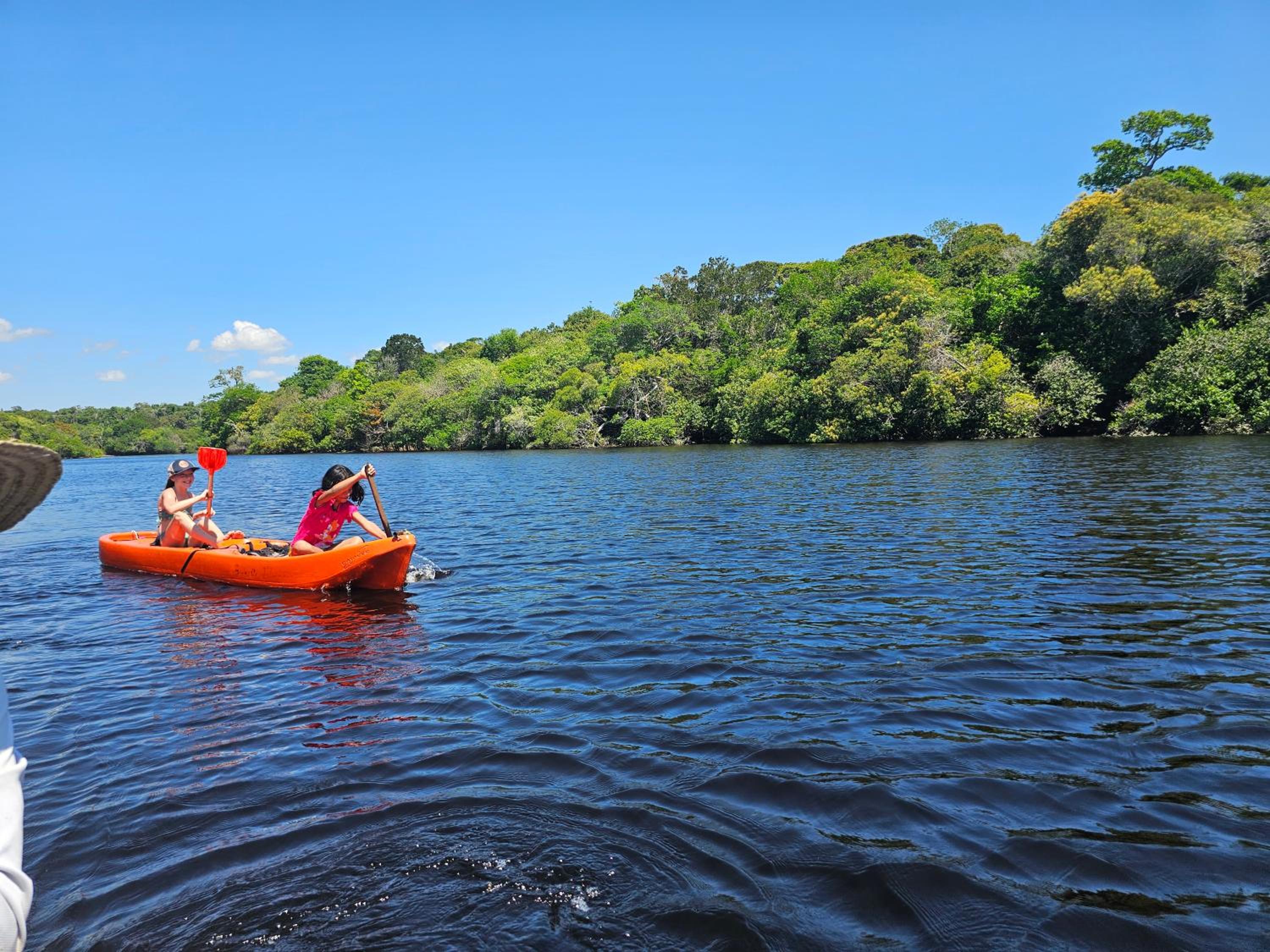 Premium Amazon Jungle Lodge