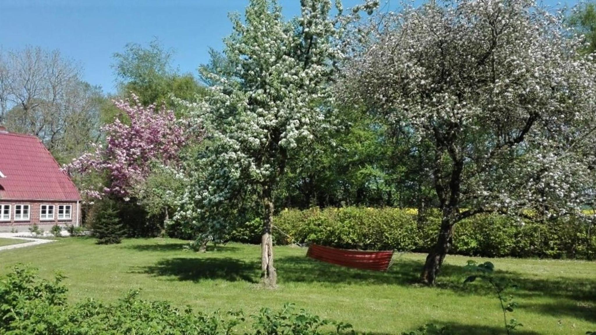 Birkenhof