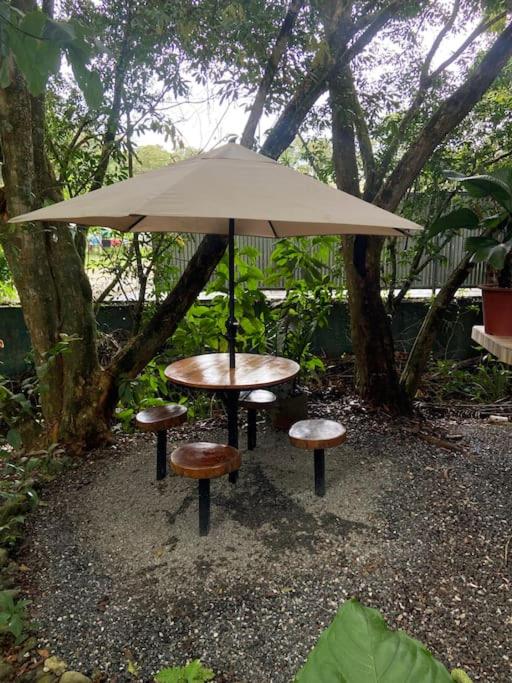 Corcovado jungle house