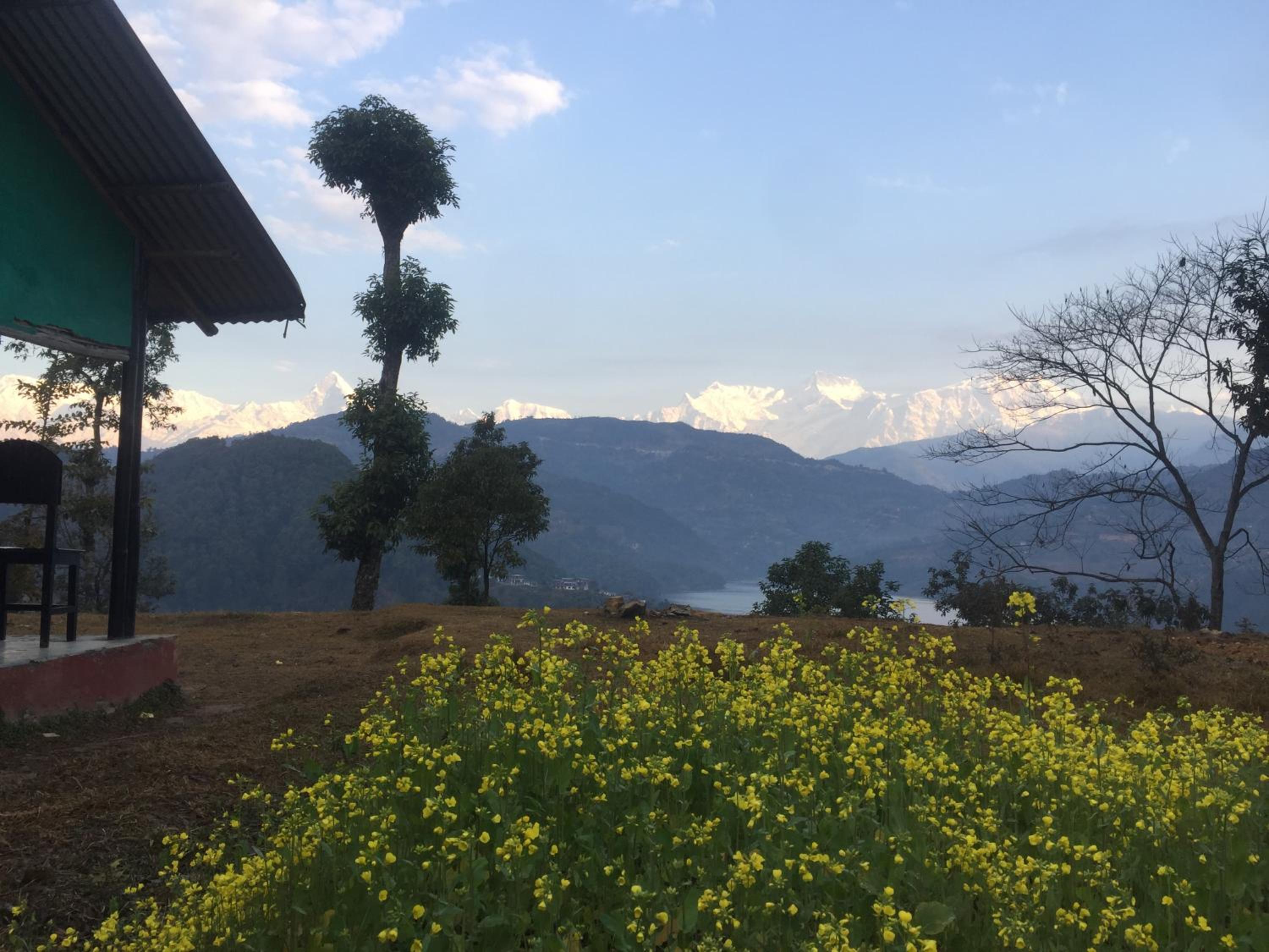 The Family Host -Mount Fuji Homestay view 2