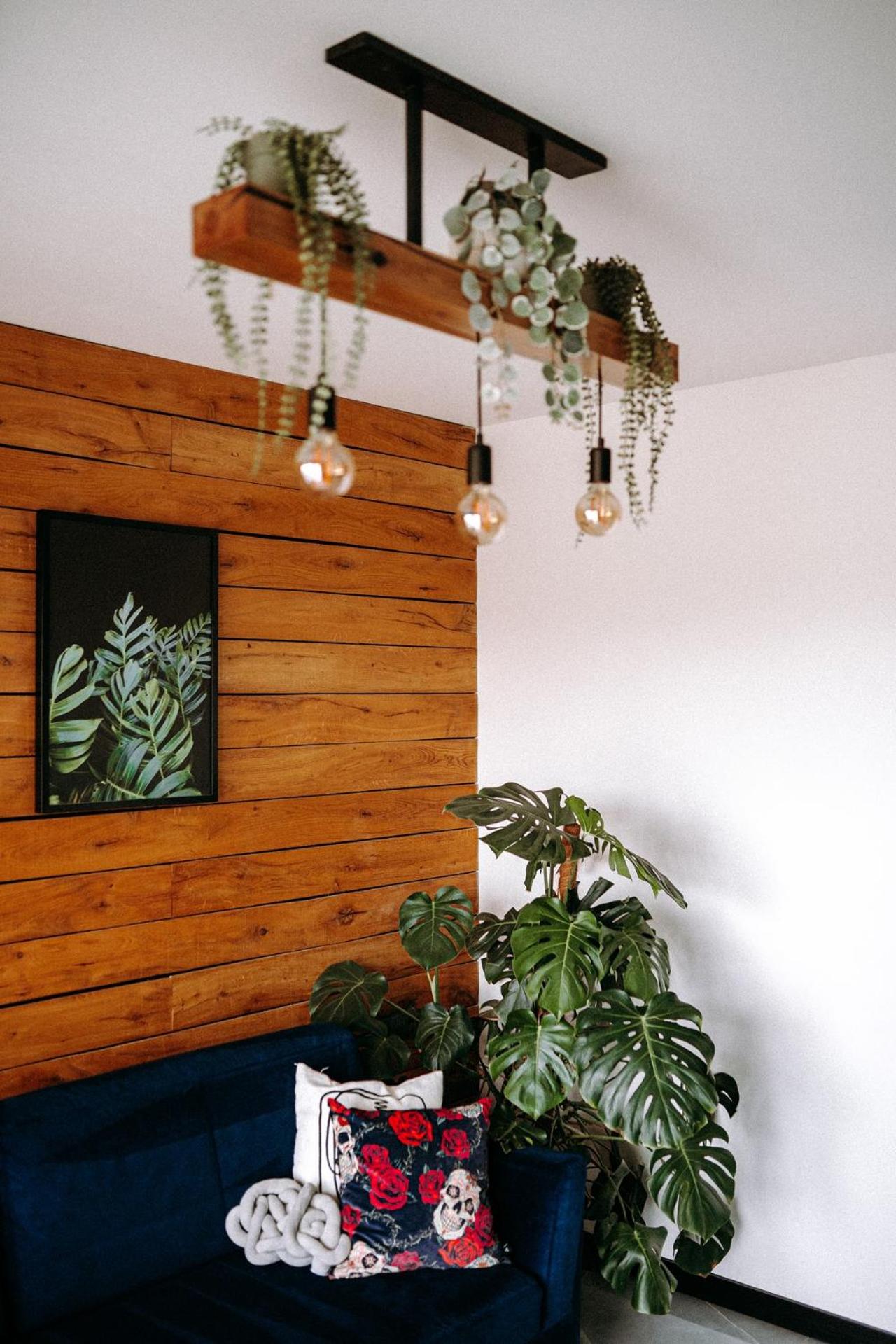Apartament Madlen Art, photo 24