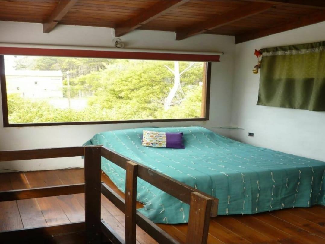 Casas en mar azul las gaviotas