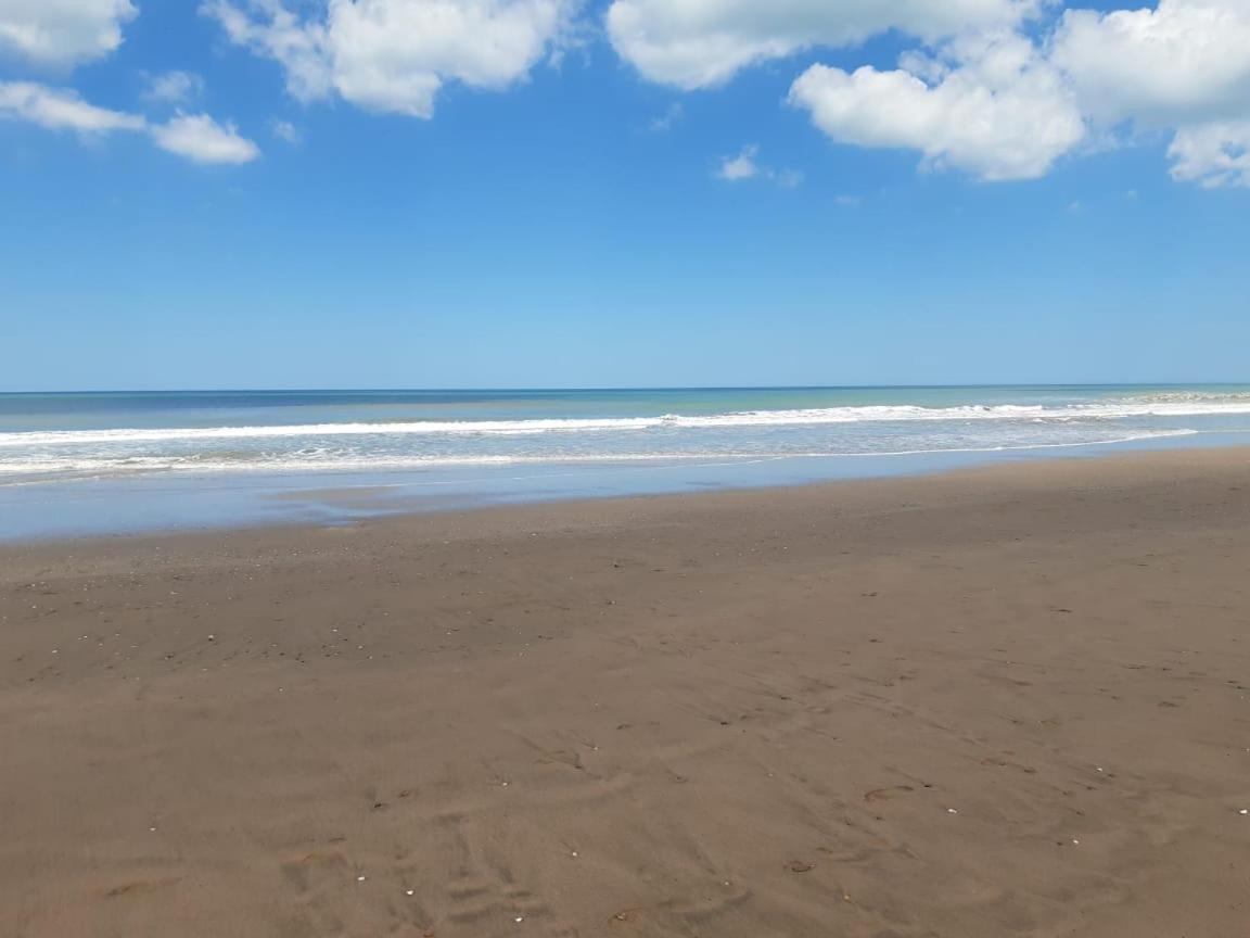 Casas en mar azul las gaviotas