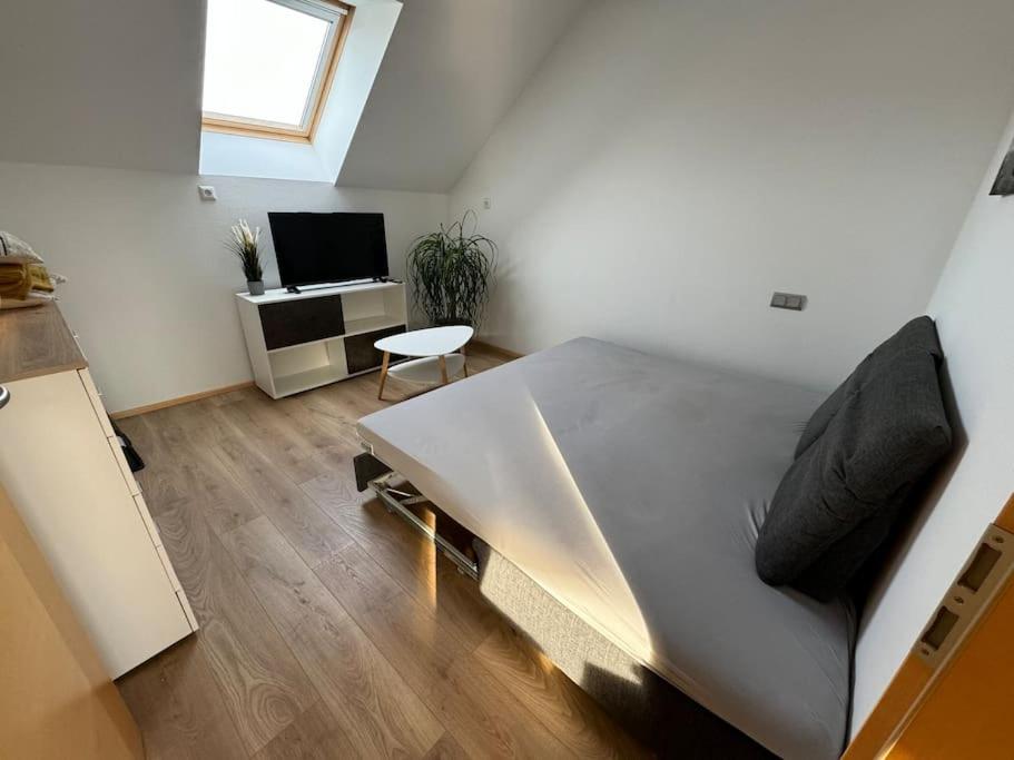 Schöne Wohnung im Dreiländereck