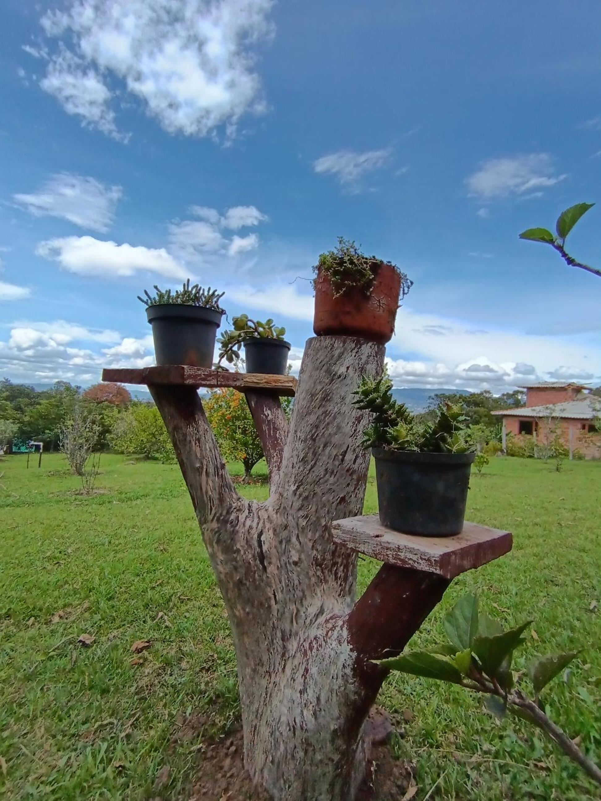 Cabaña Escondite de la Sabana
