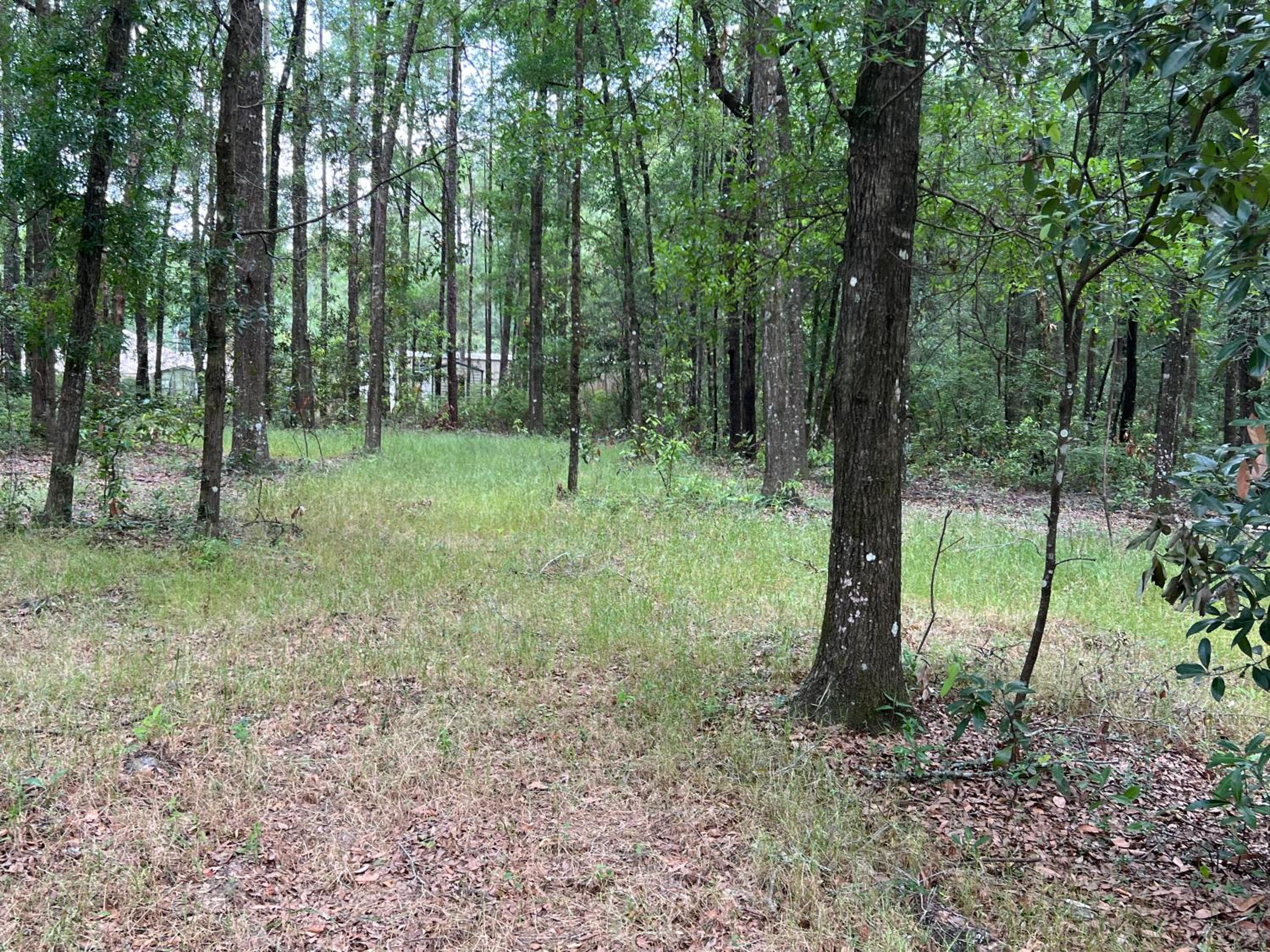 3 Rivers Retreat view 5