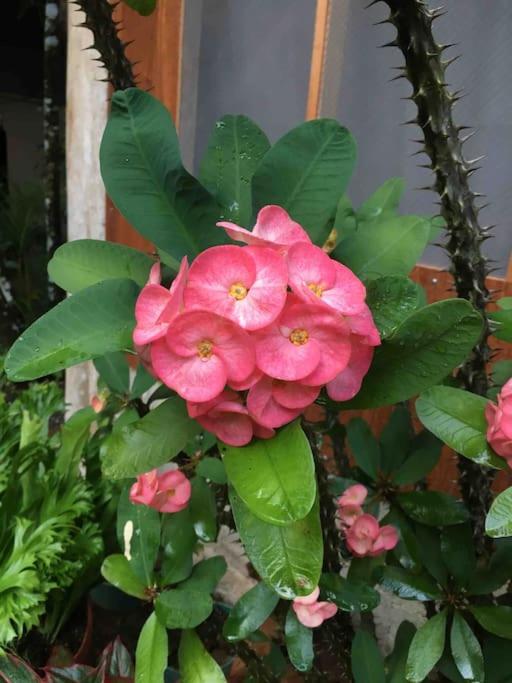 Casa Sol