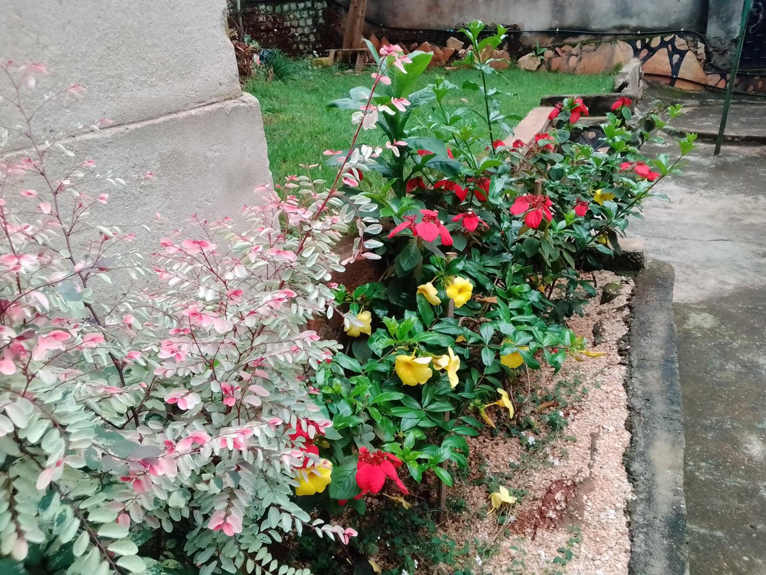 Photo 26
