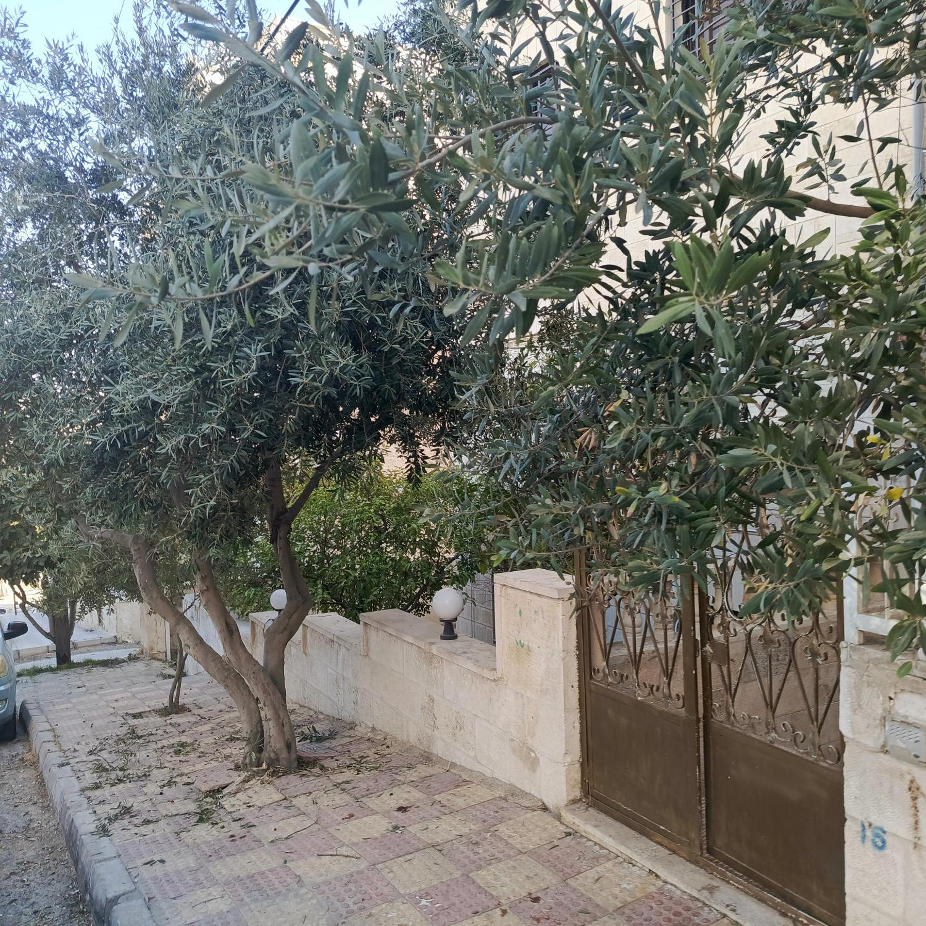 Photo 25