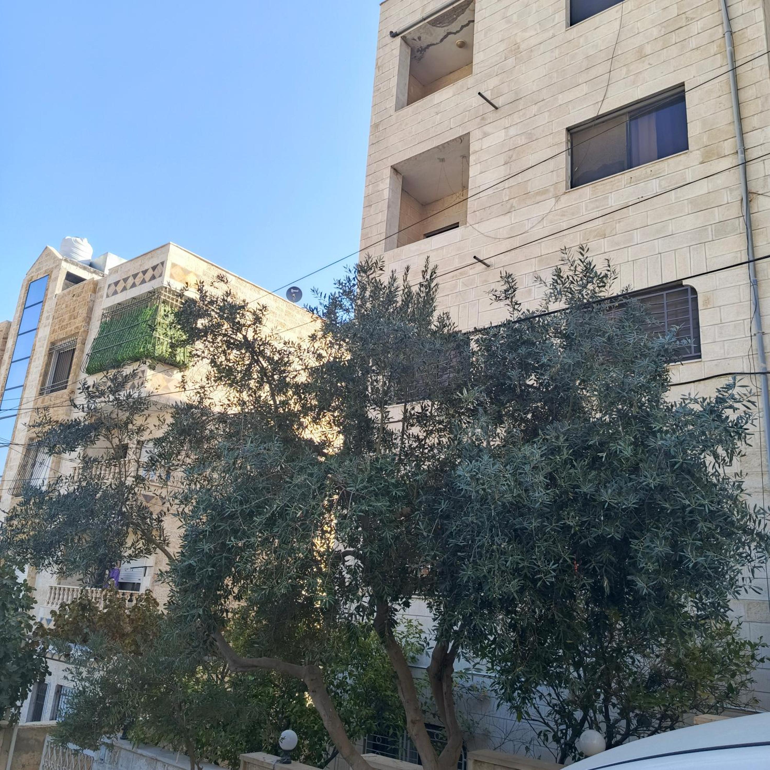 Photo 28
