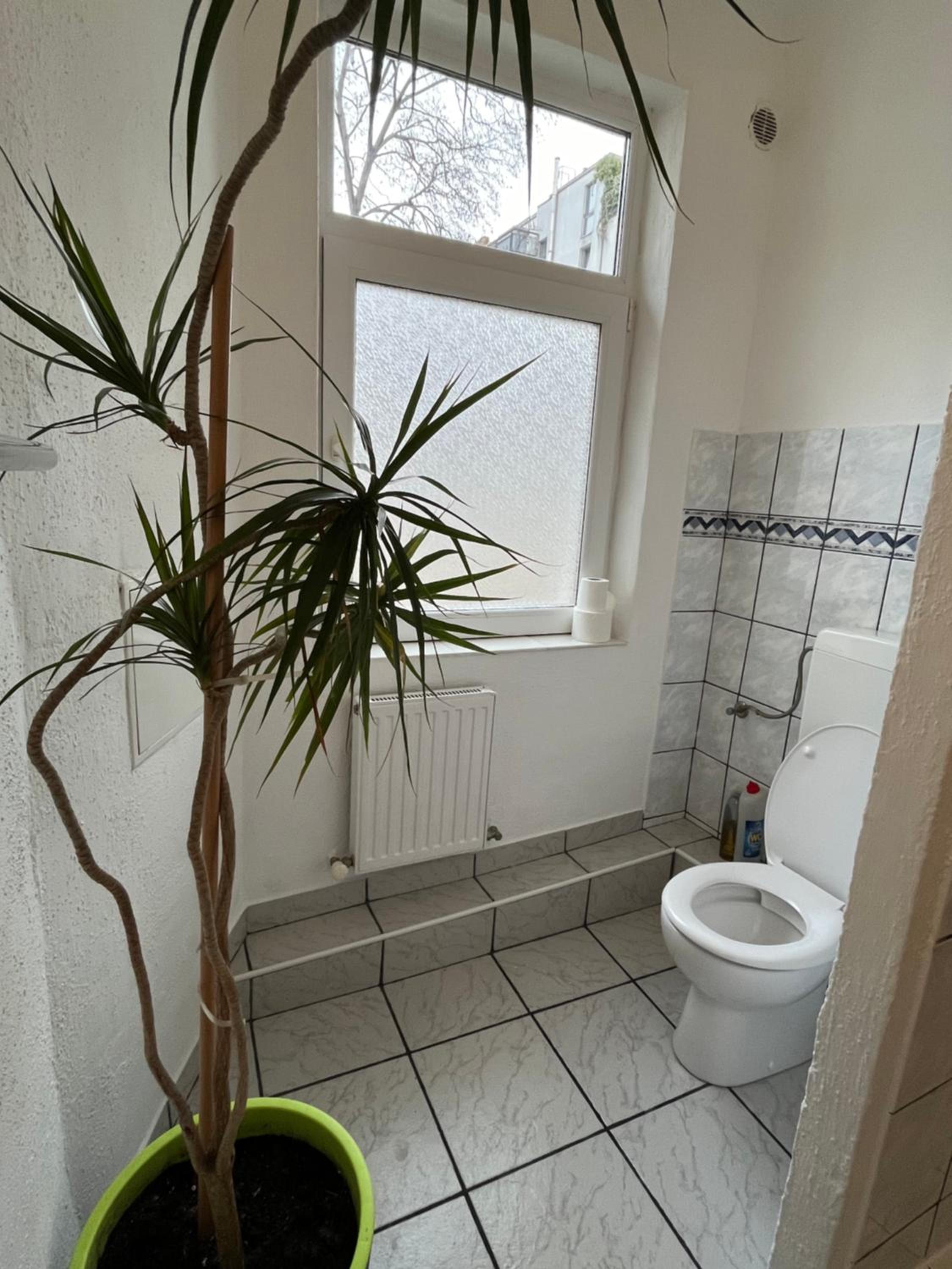Traveler Lodging Vienna