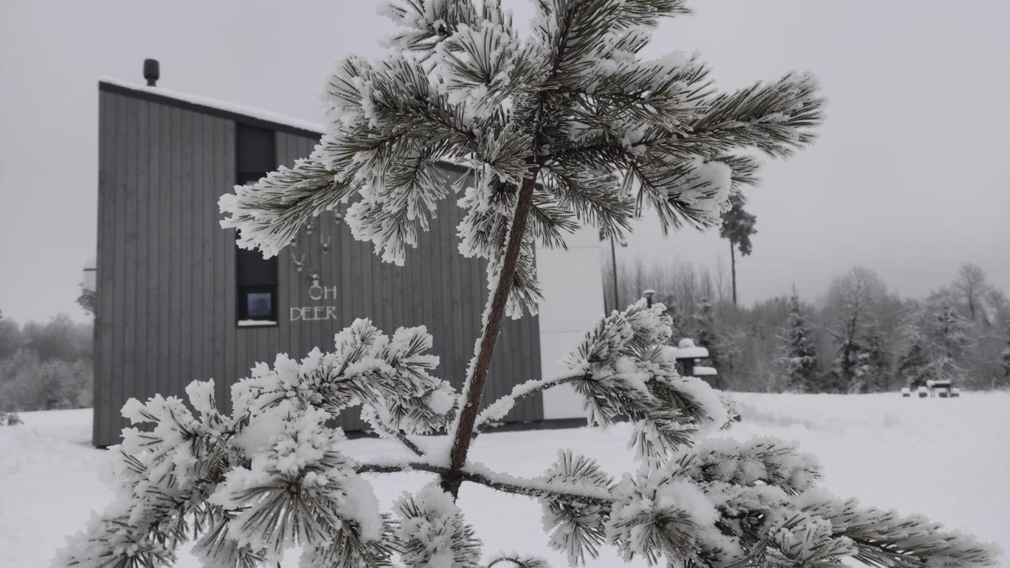 Hotel Oh Deer Holiday House