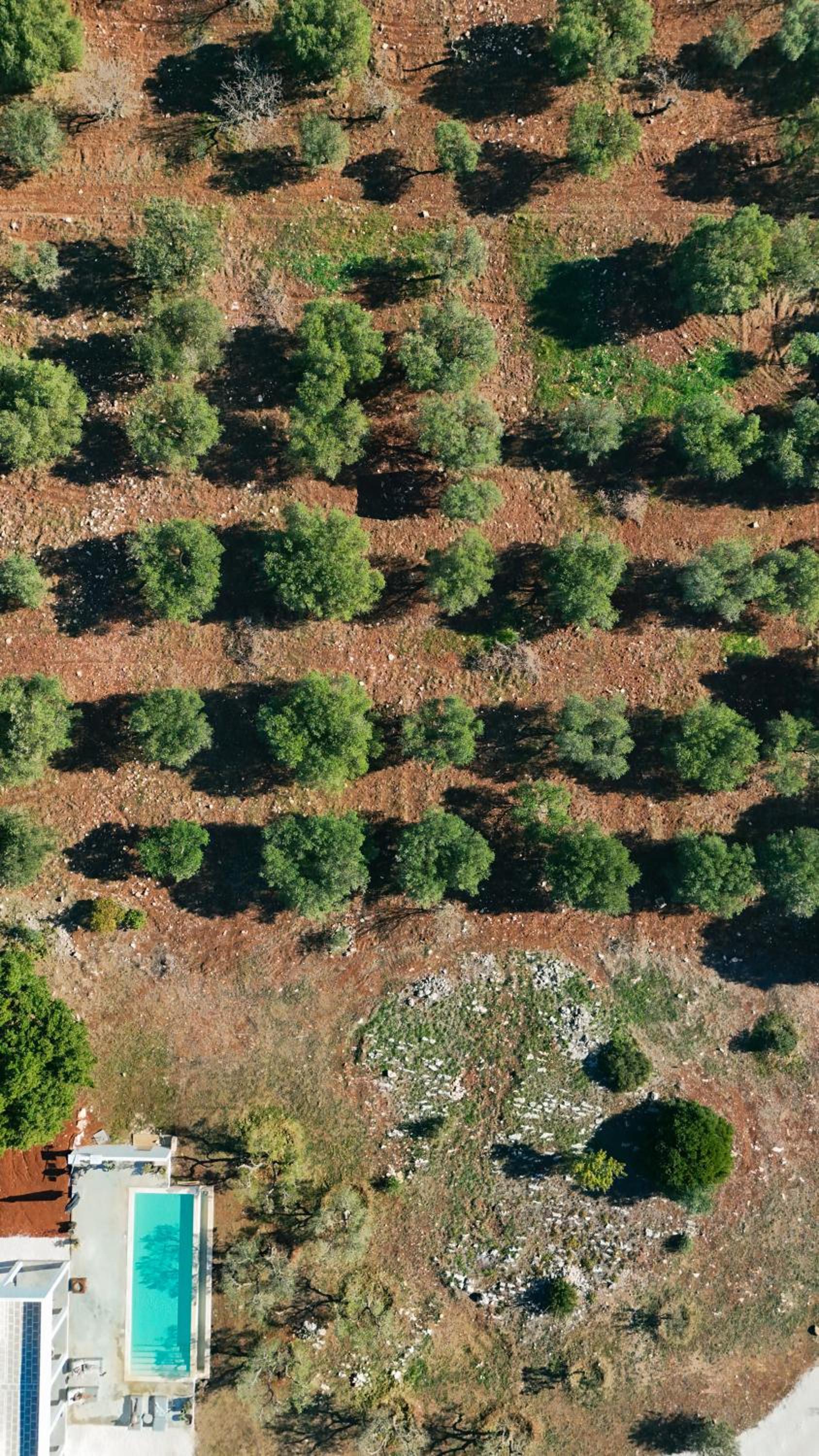 Villa Quercia Puglia