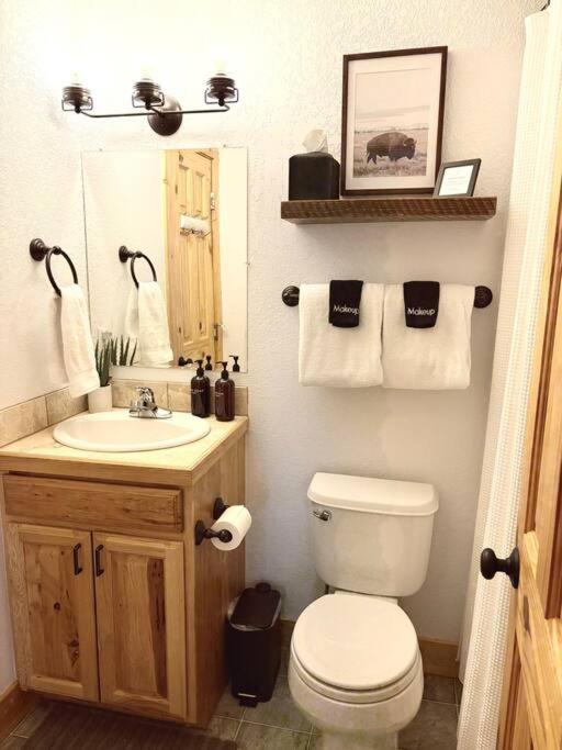 Mountain Views, Fast Wi-Fi, Hot Tub near Fairplay and Breck