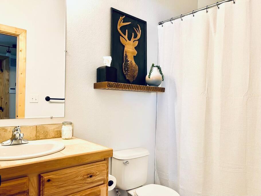 Mountain Views, Fast Wi-Fi, Hot Tub near Fairplay and Breck