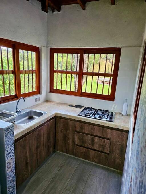 Tranquilidad y Naturaleza Cabaña Concepción