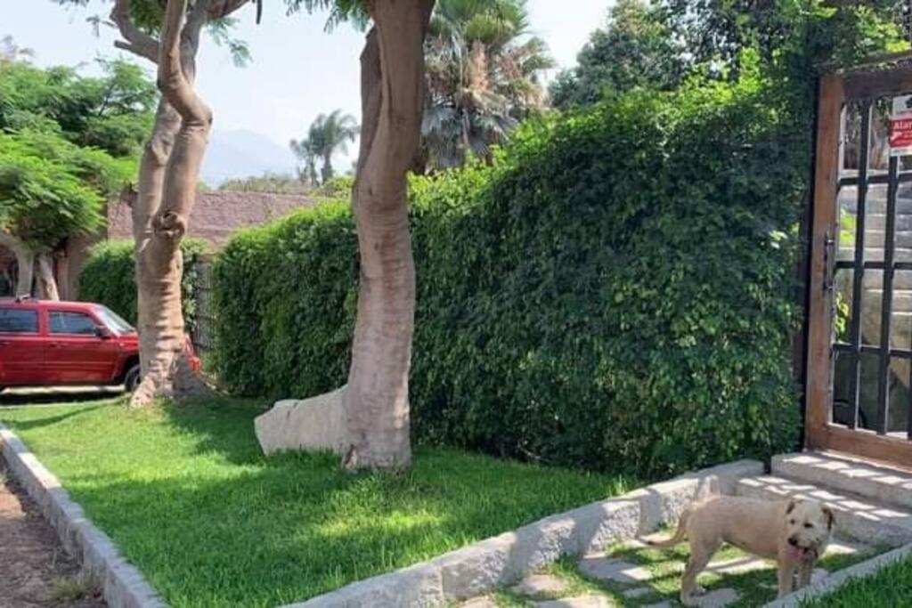 Casa Cusco