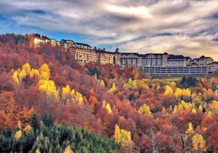 Apartman Tubic s69 Milmari resort Kopaonik view 4