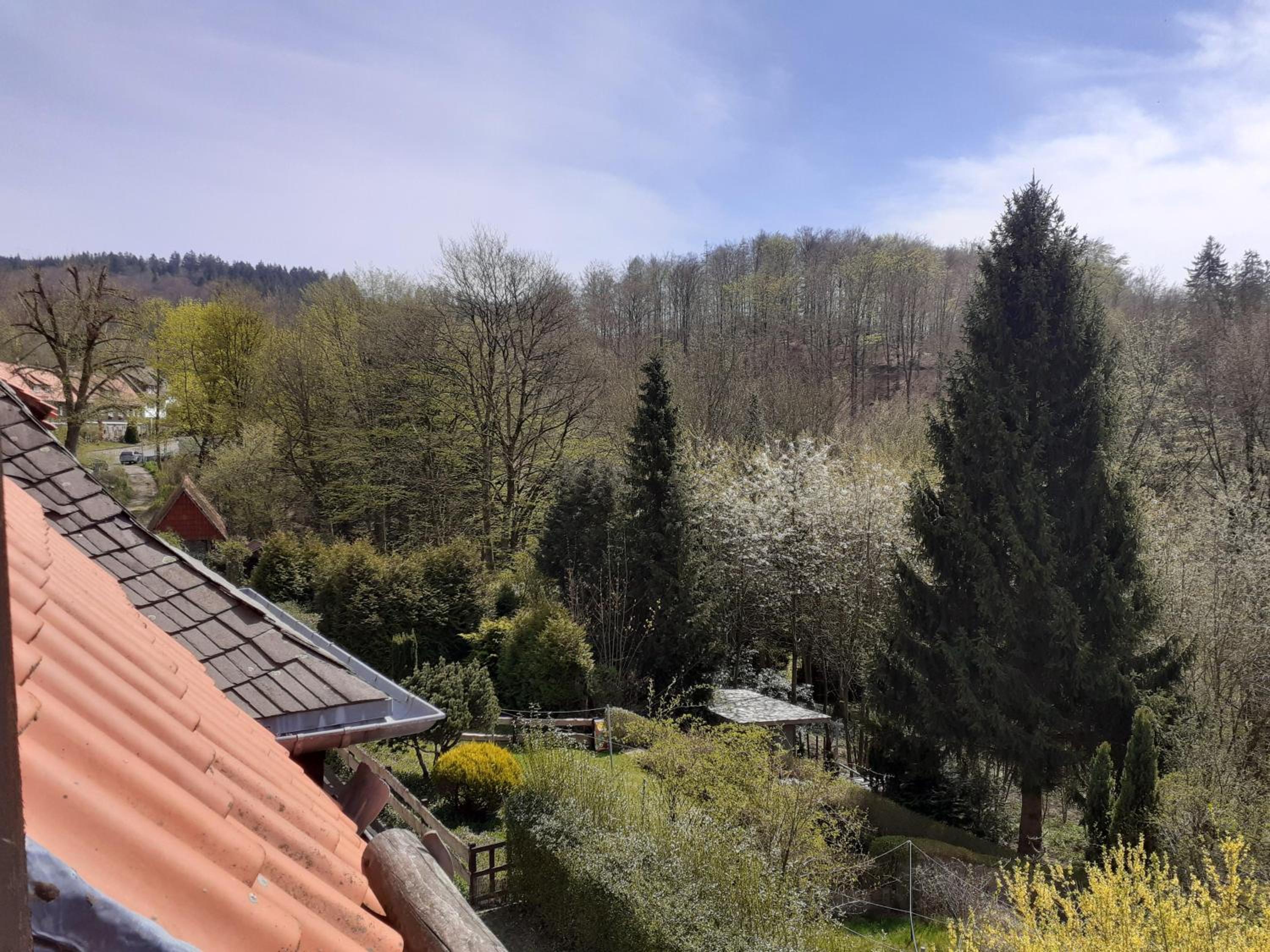 Familienfreundliches Ferienhaus in Oberharz, Bad Grund mit Garten