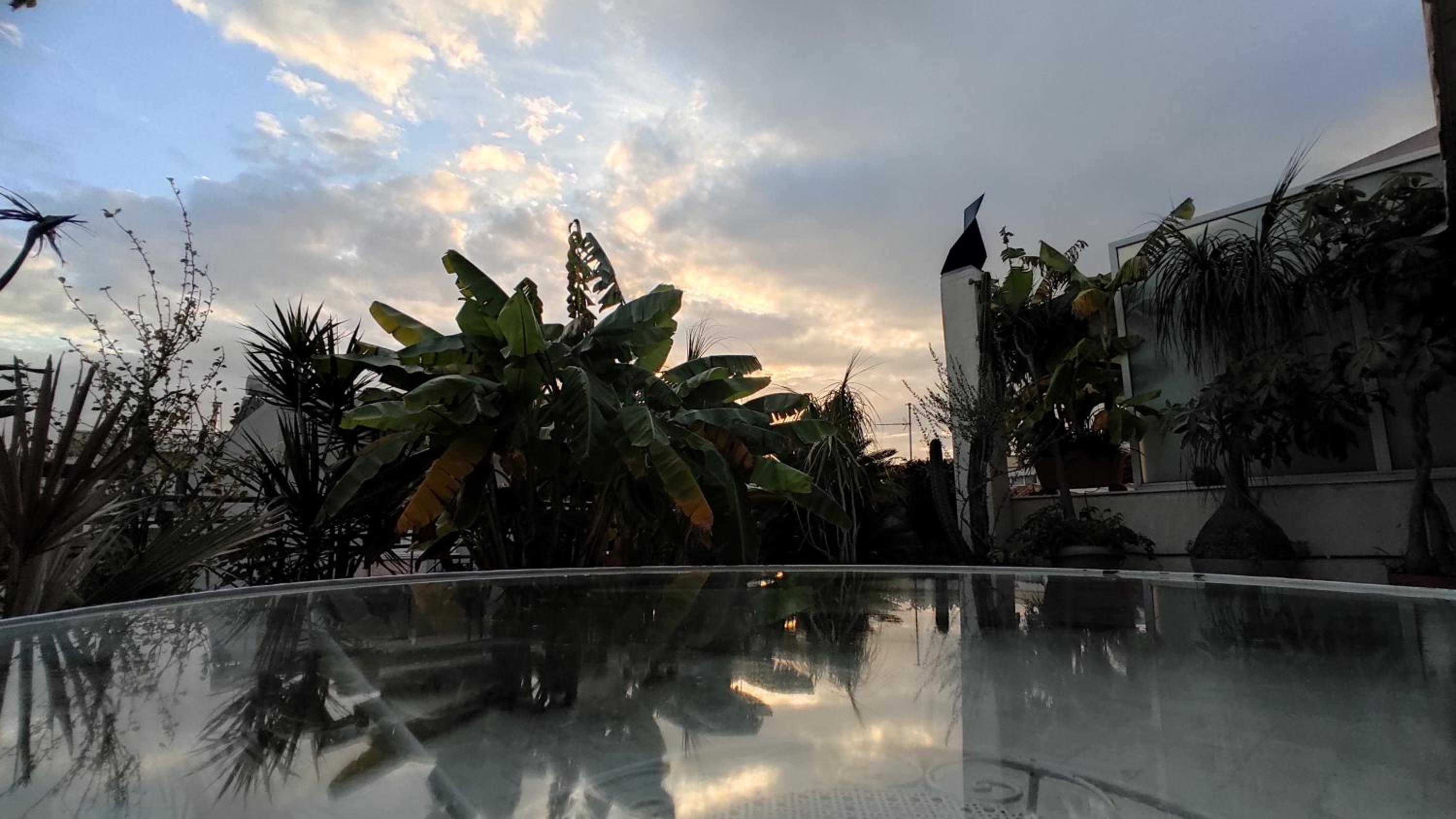 roof