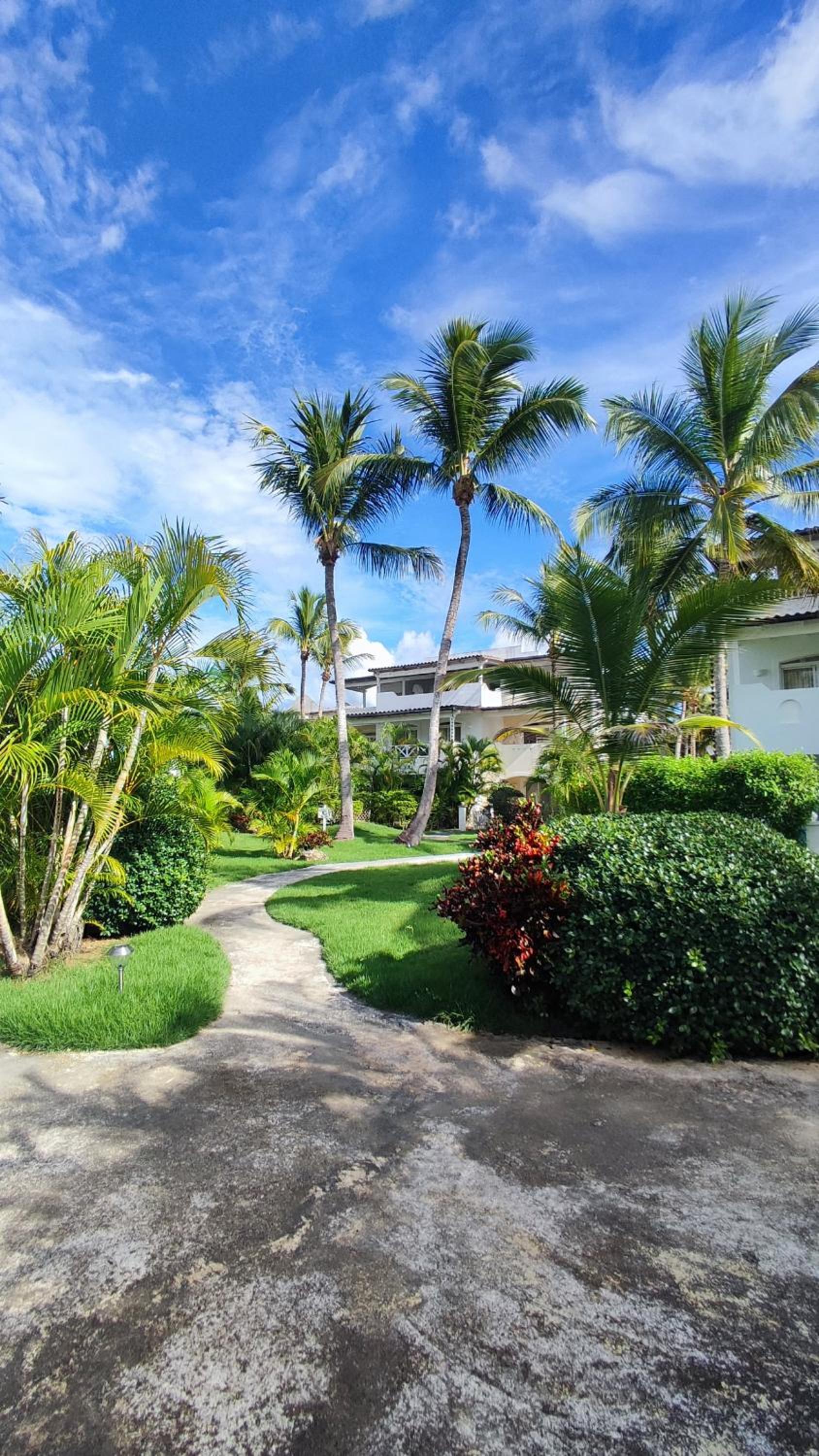 Caribe Home Dominicus Oleandra 3