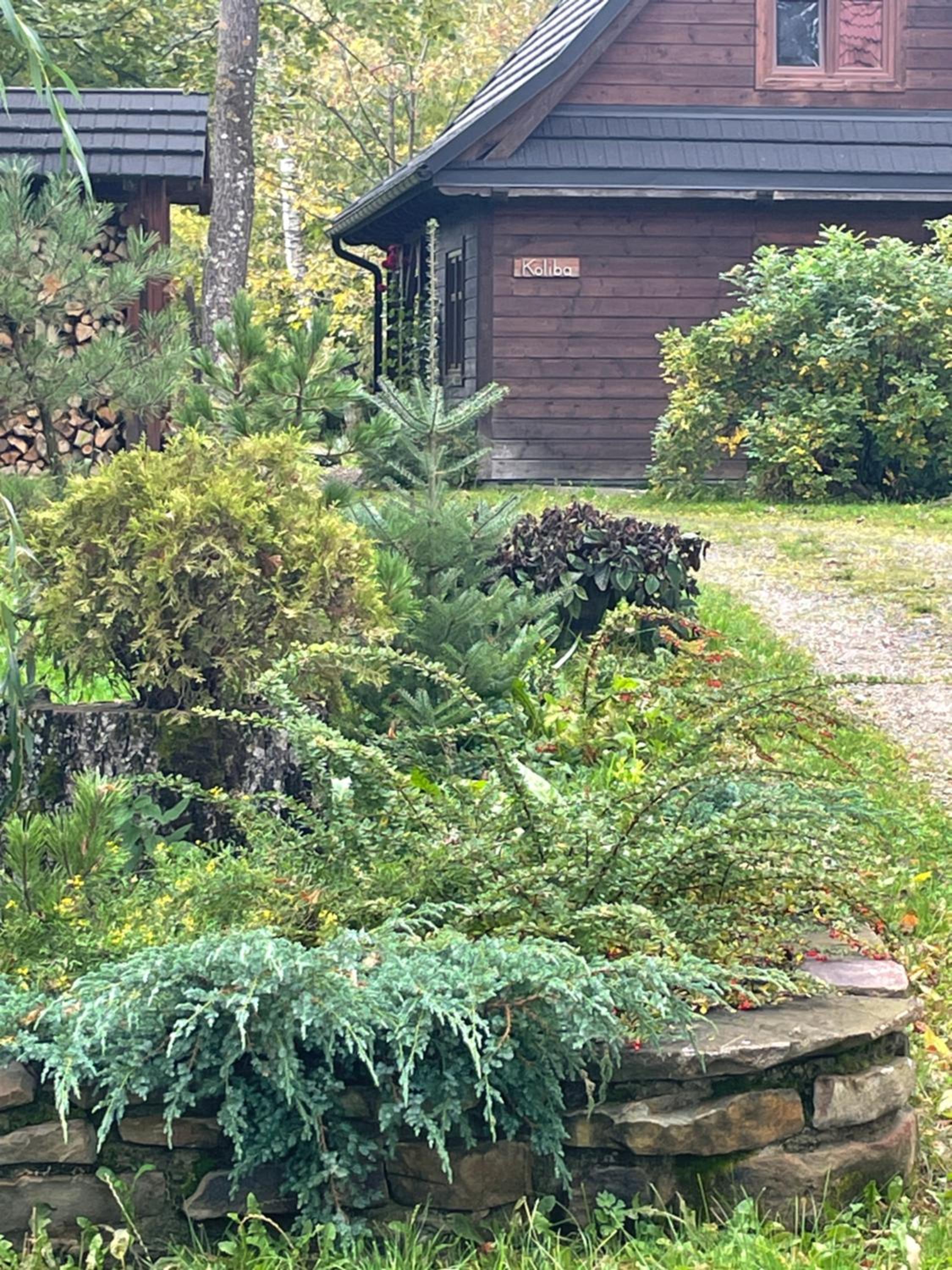 Photo 17