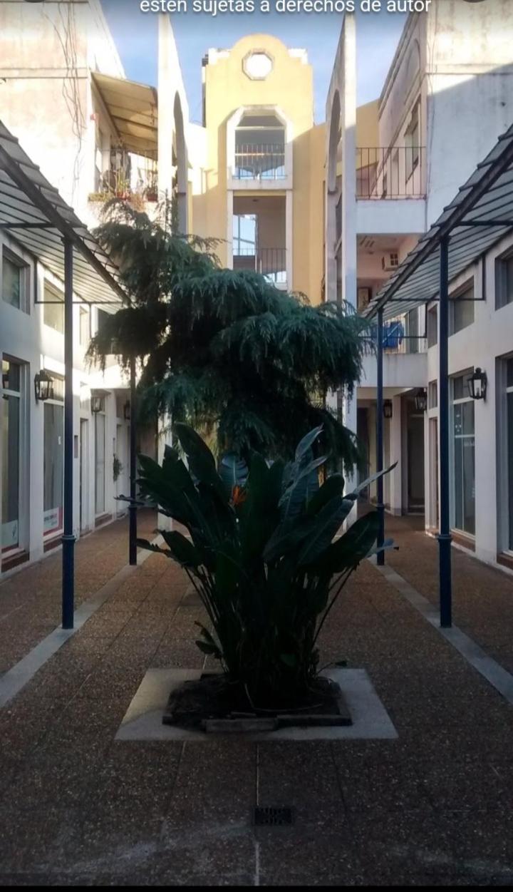Departamento Céntrico Zona Basílica de Luján
