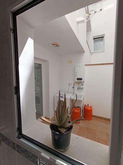 Casa María
