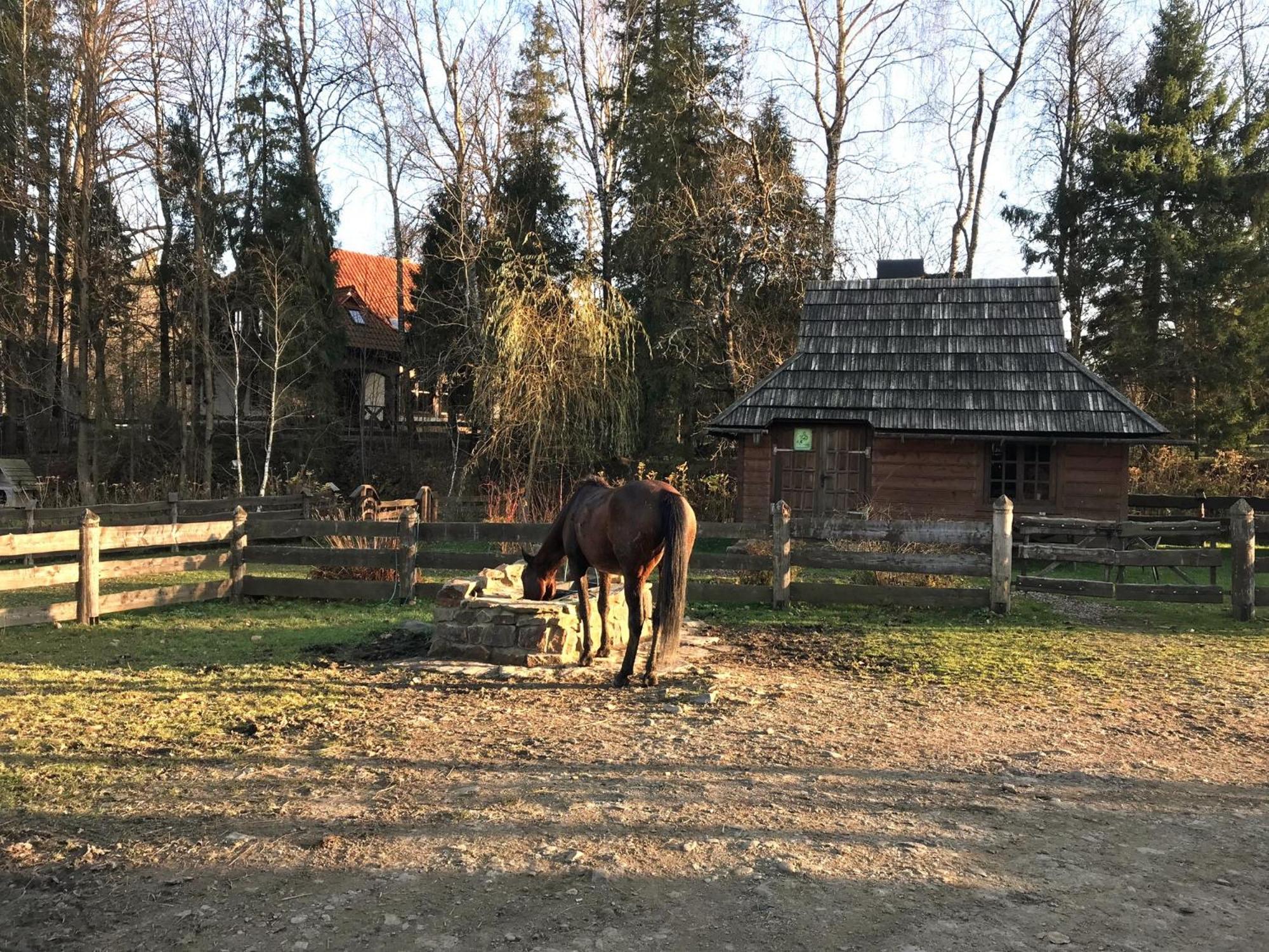 Photo 46