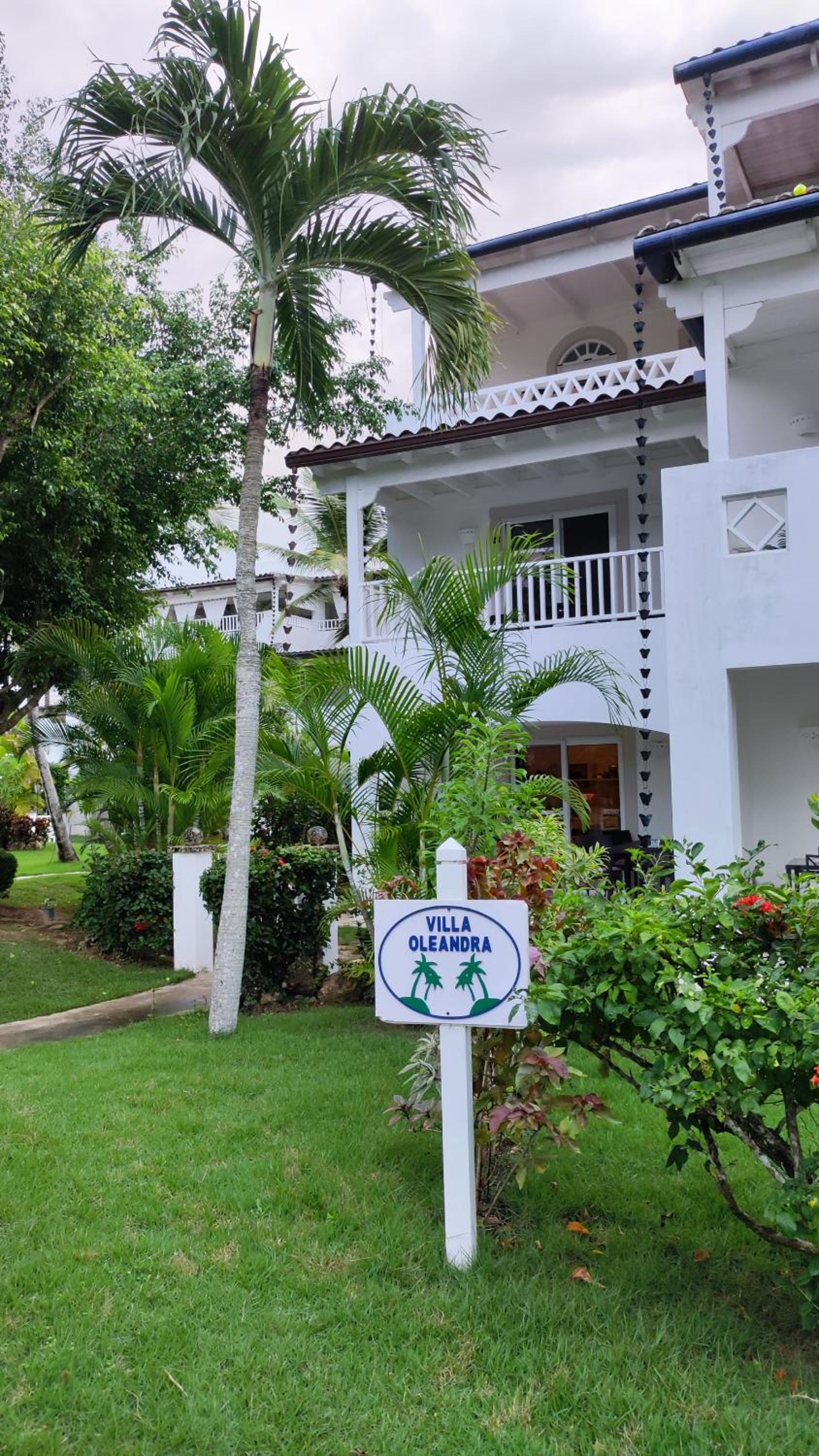Caribe Home Dominicus Oleandra 3