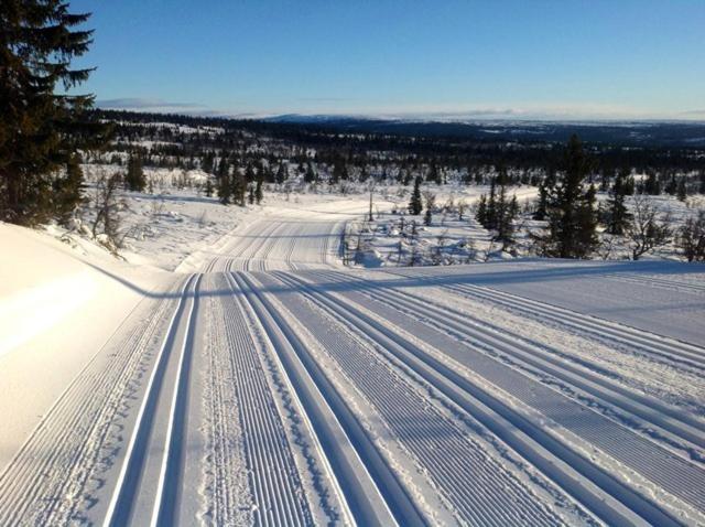 Cabin at Sjusjøen Birkebeiner trail ski in out, 8 beds, 2 bathrooms & Wifi view 5