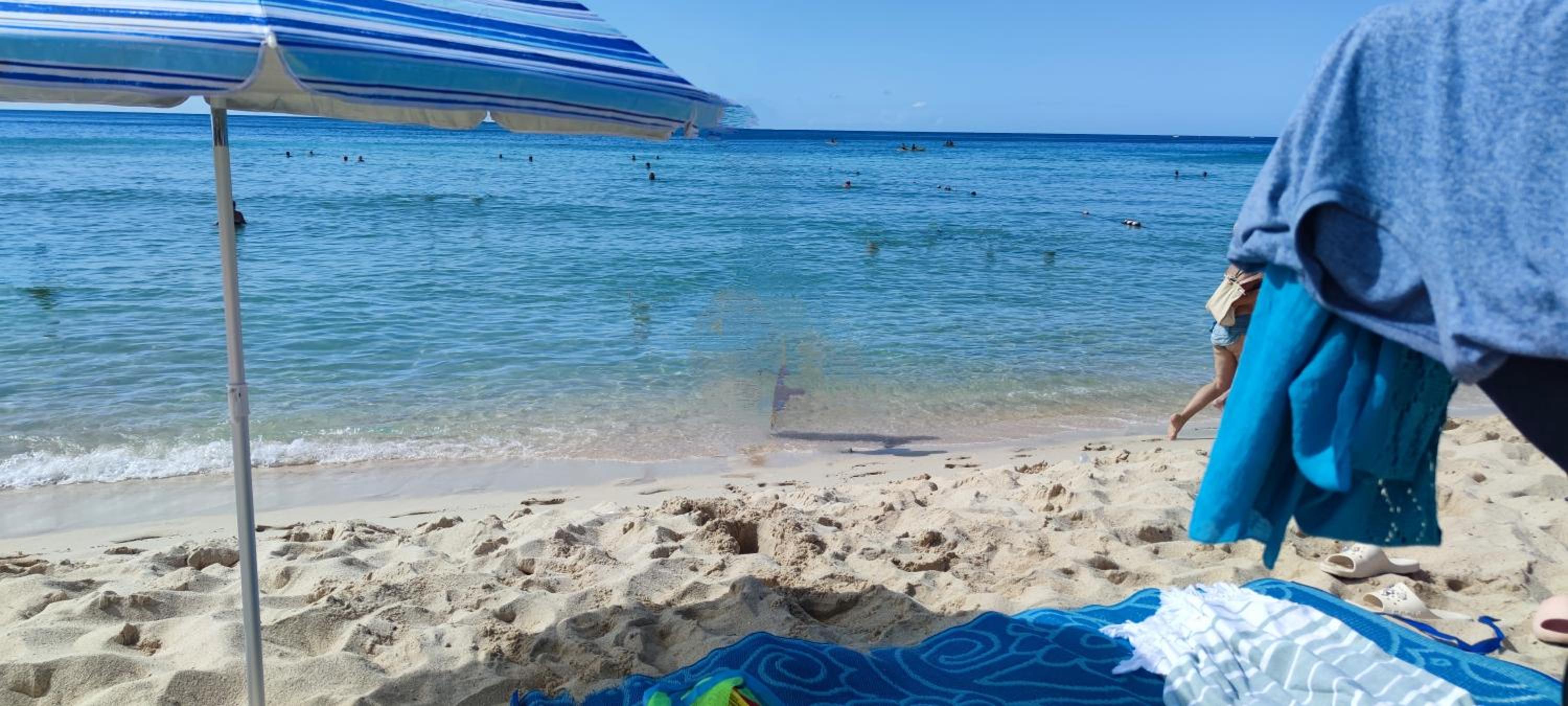 Caribe Home Dominicus Oleandra 3