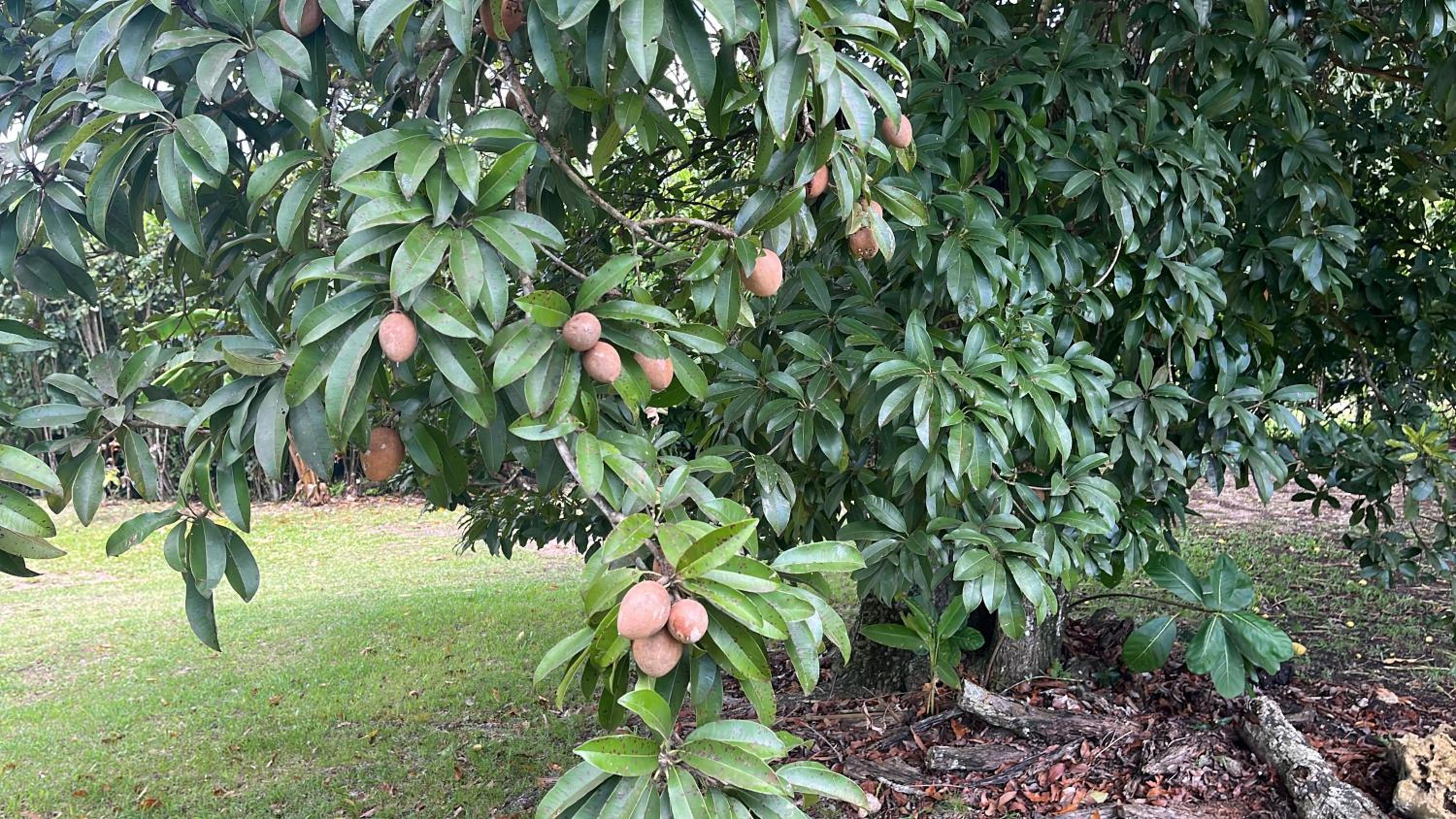 Maison Nature