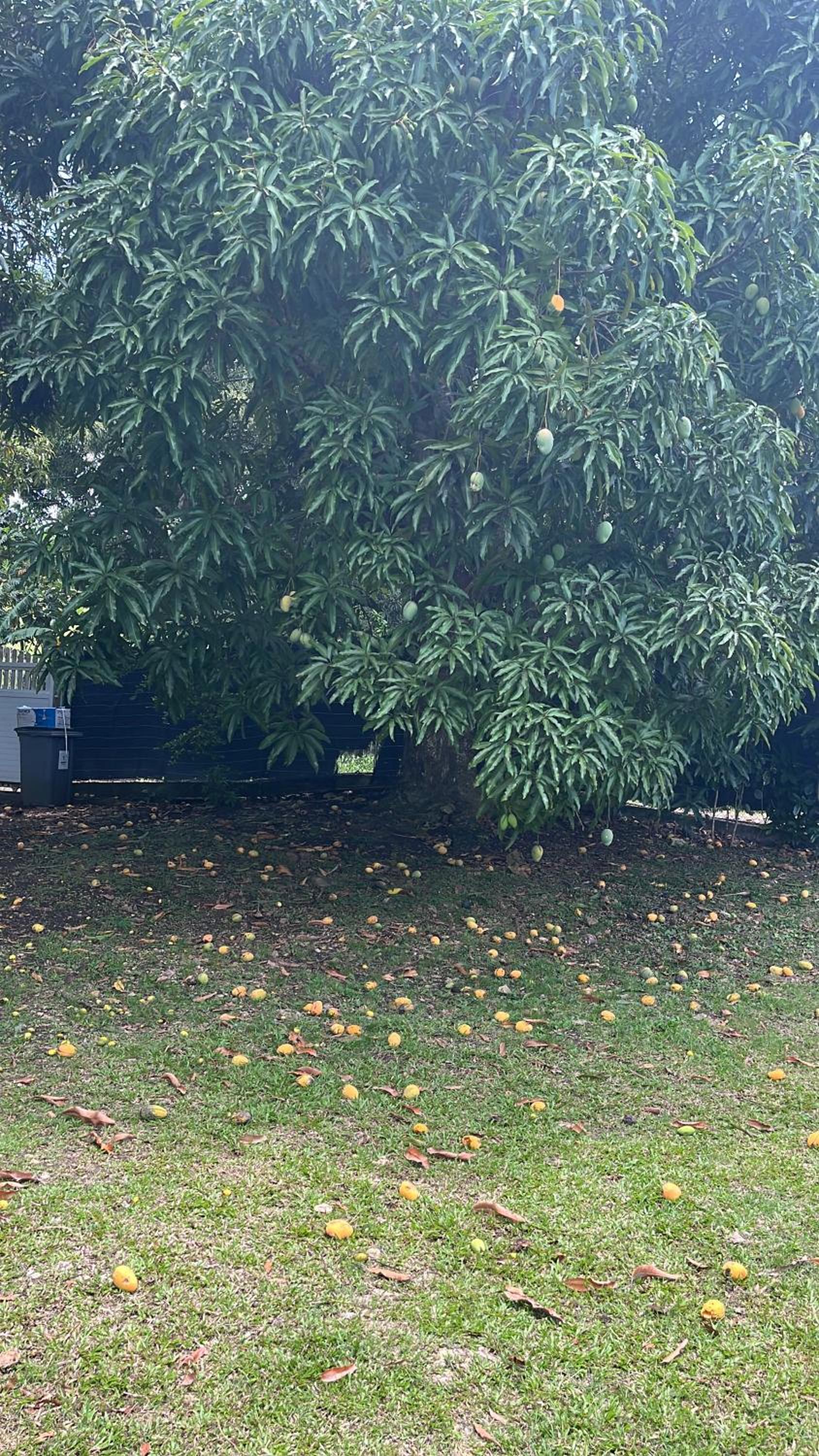Maison Nature