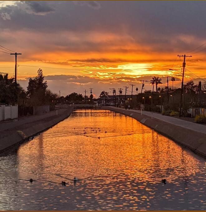 Central Phoenix, great for kids & pets, big backyard! view 3