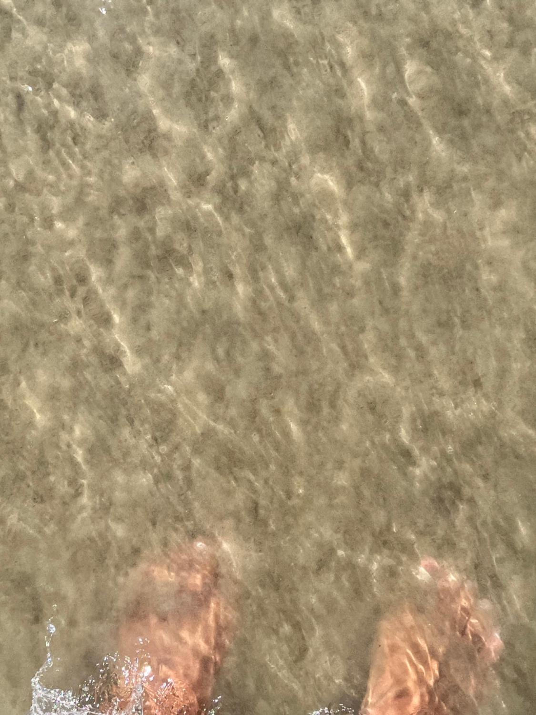 Apto “Aconchego” Praia da Enseada
