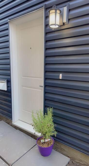Lovely 2Bd 1Bth suite Free pking separated HVAC