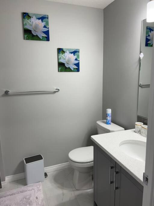 Lovely 2Bd 1Bth suite Free pking separated HVAC