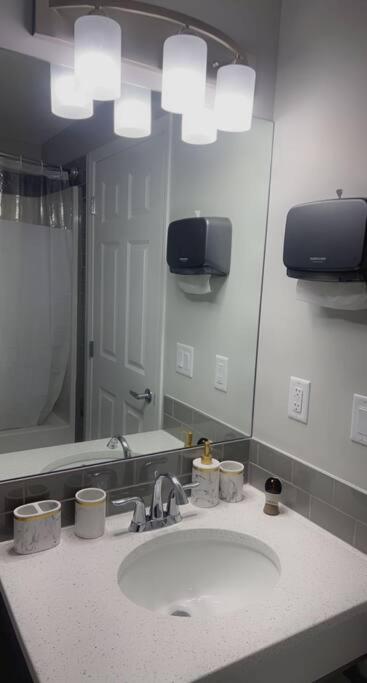 Lovely 2Bd 1Bth suite Free pking separated HVAC