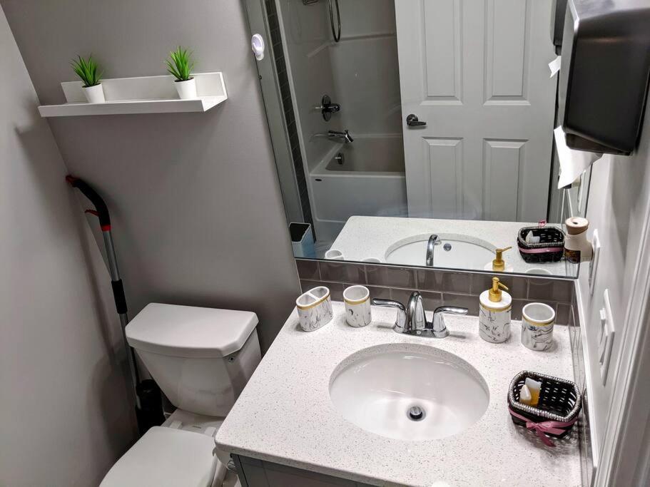 Lovely 2Bd 1Bth suite Free pking separated HVAC
