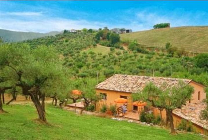 Villa Elster photo 5