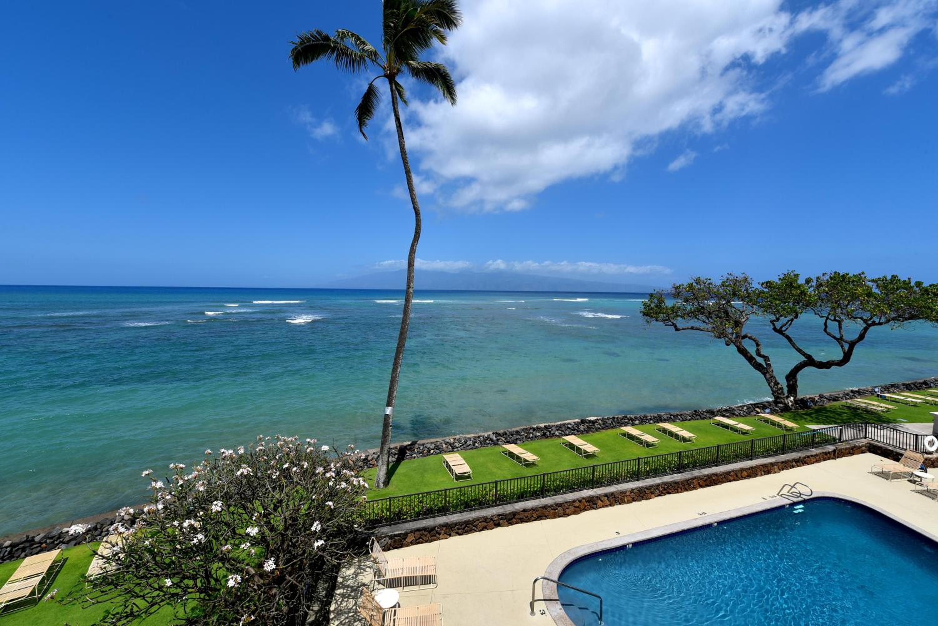 Kahana Reef 117 · KR 117 Renovated OceanFront 1BD w Ocean Views