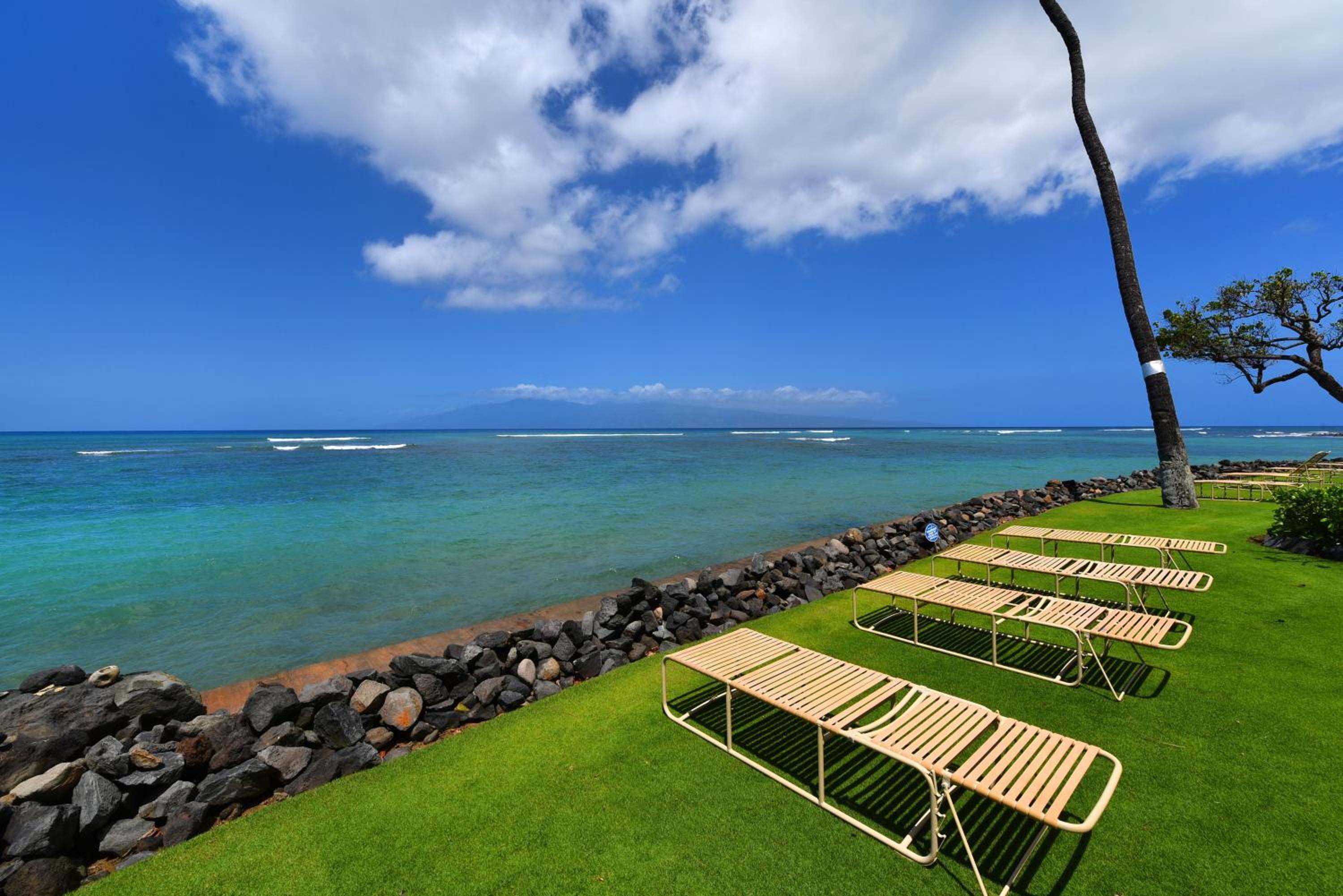Kahana Reef 117 · KR 117 Renovated OceanFront 1BD w Ocean Views