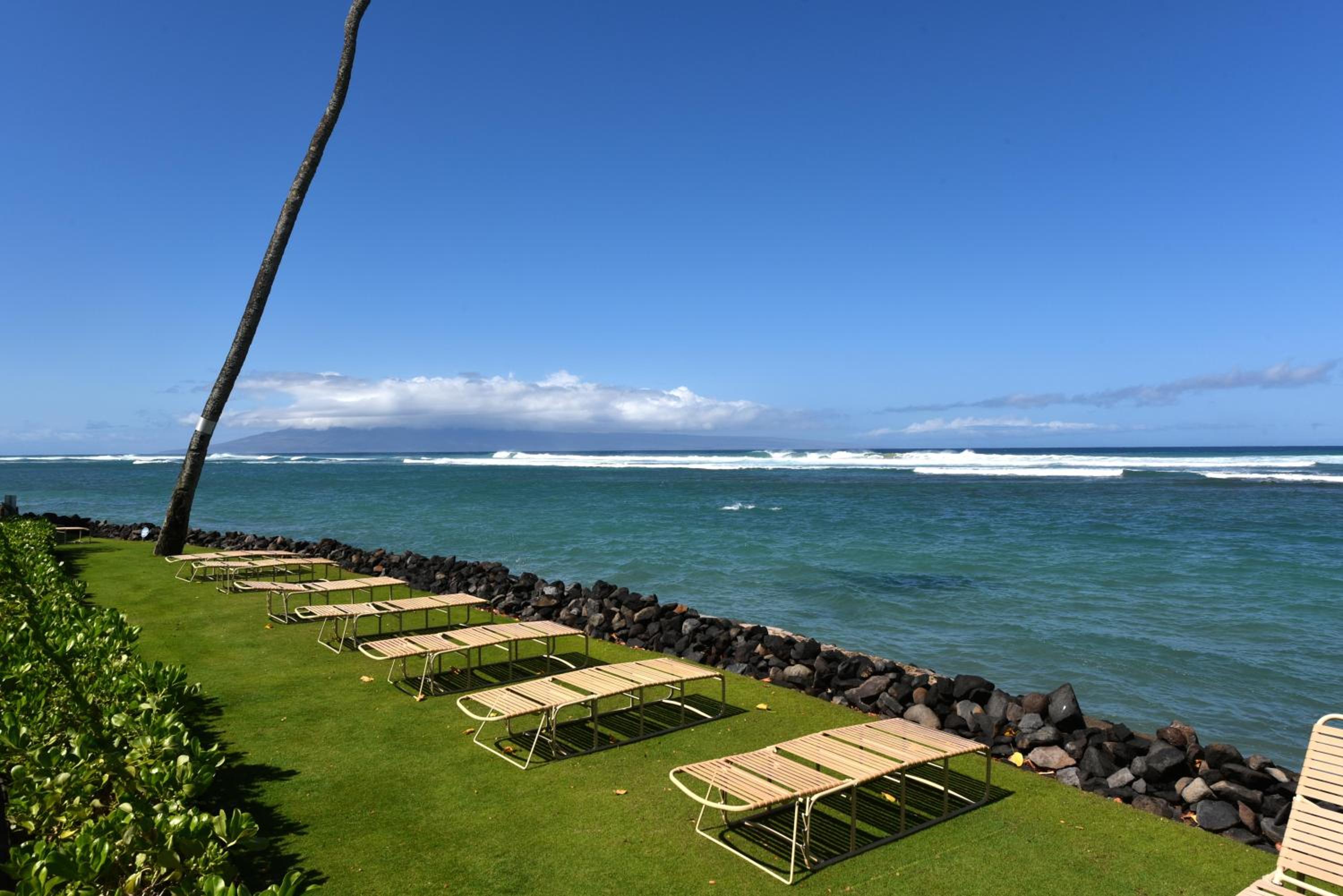 Kahana Reef 117 · KR 117 Renovated OceanFront 1BD w Ocean Views