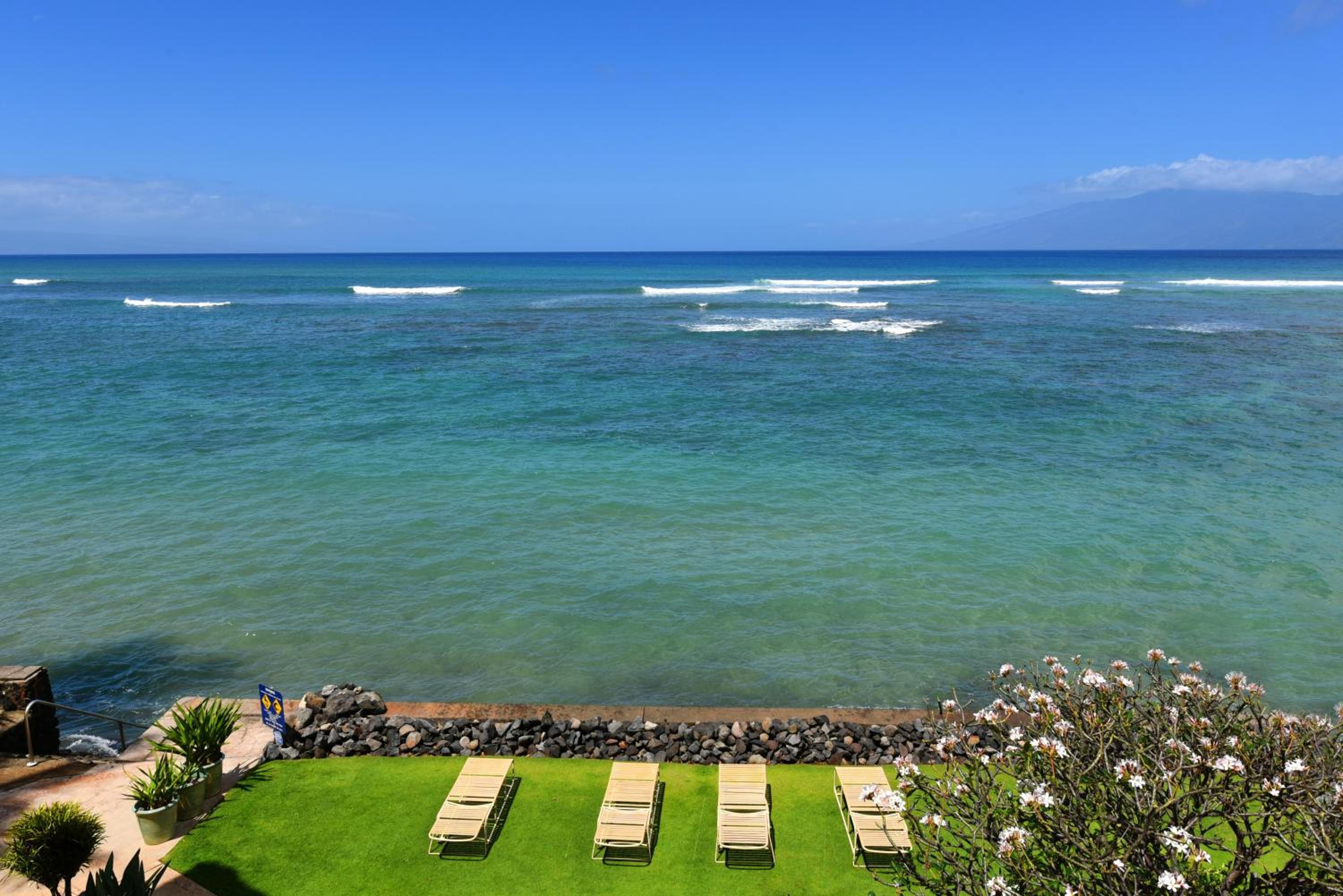 Kahana Reef 117 · KR 117 Renovated OceanFront 1BD w Ocean Views