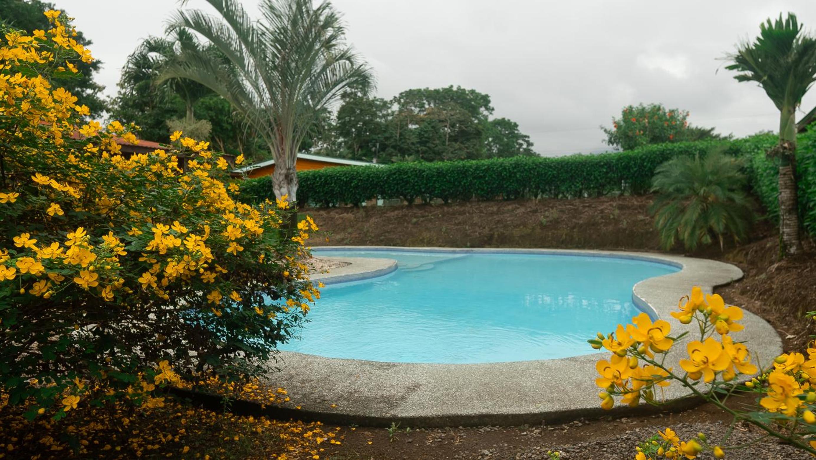 Holly House La Fortuna