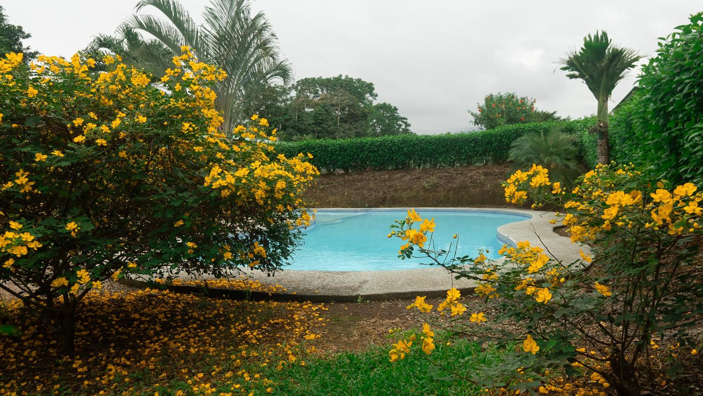 Holly House La Fortuna
