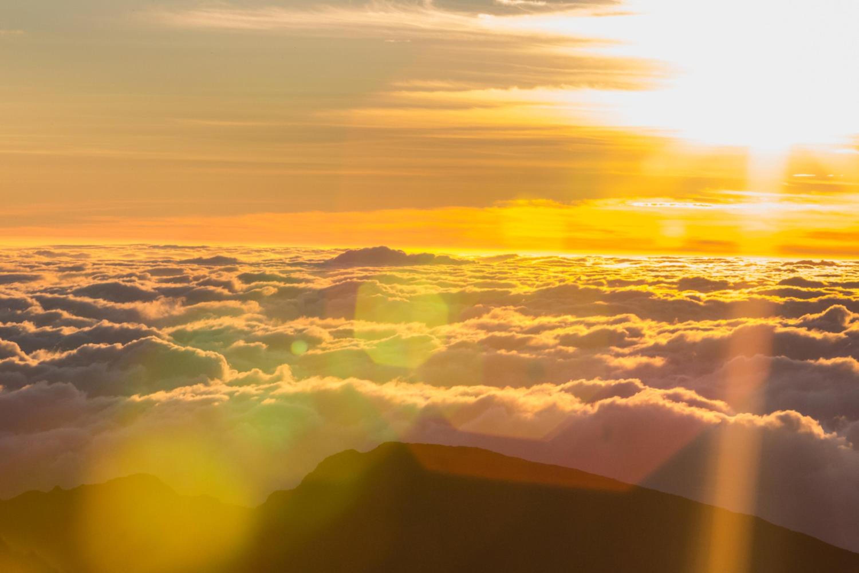 Island Surf 306 · ISF 306 1BD w Ocean Views AC Pool Near Beach