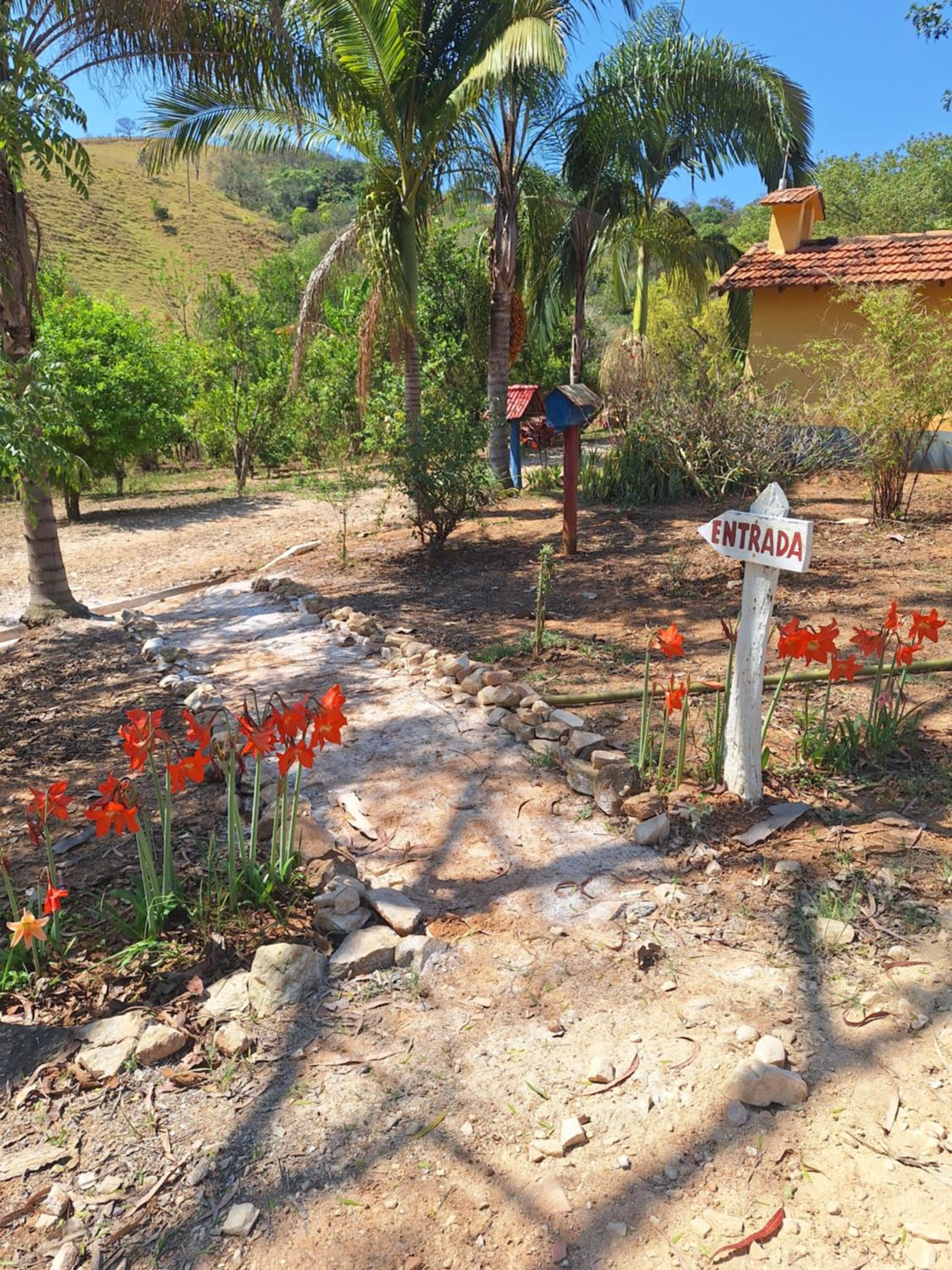 Casa na fazenda