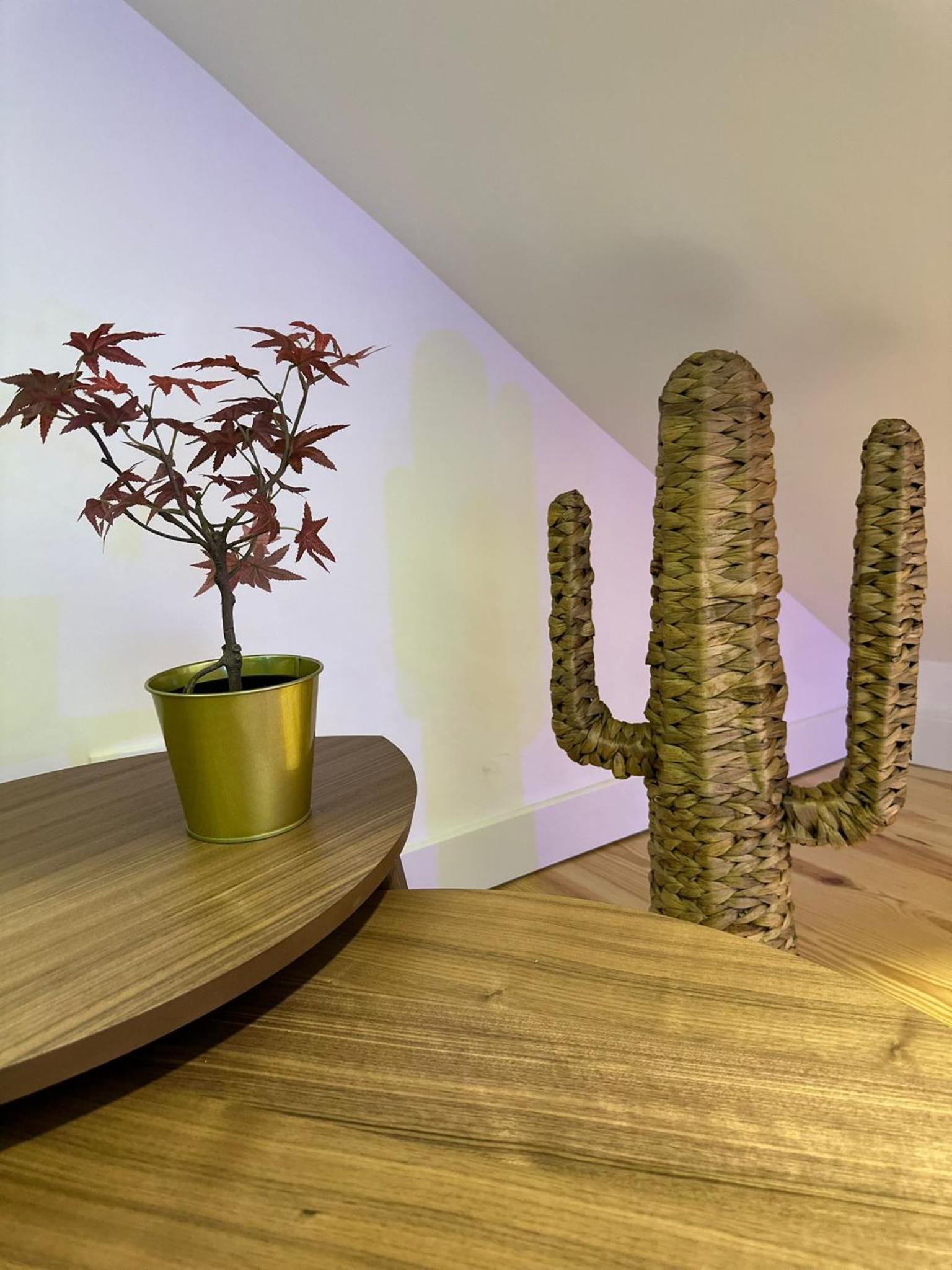 Newly Renovated Apartment Lisbon view 5